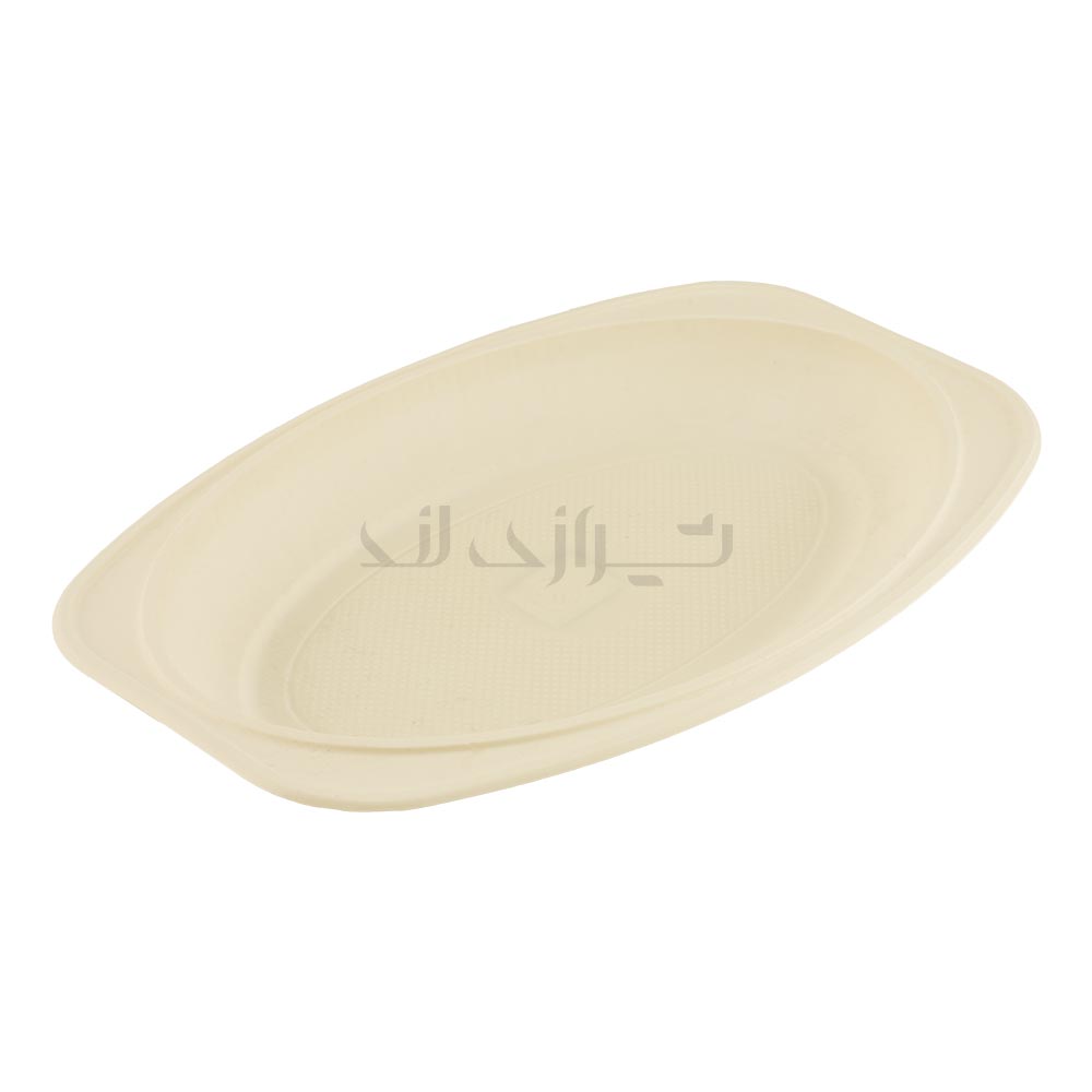 00003128-1 دیس بیضی گیاهی آملون - Image 1