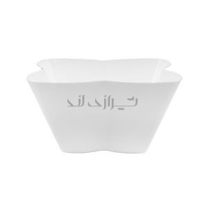 ظرف کارن 5000