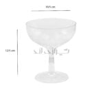 جام روژین 300 - Image 2