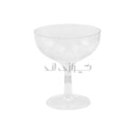 جام روژین 300