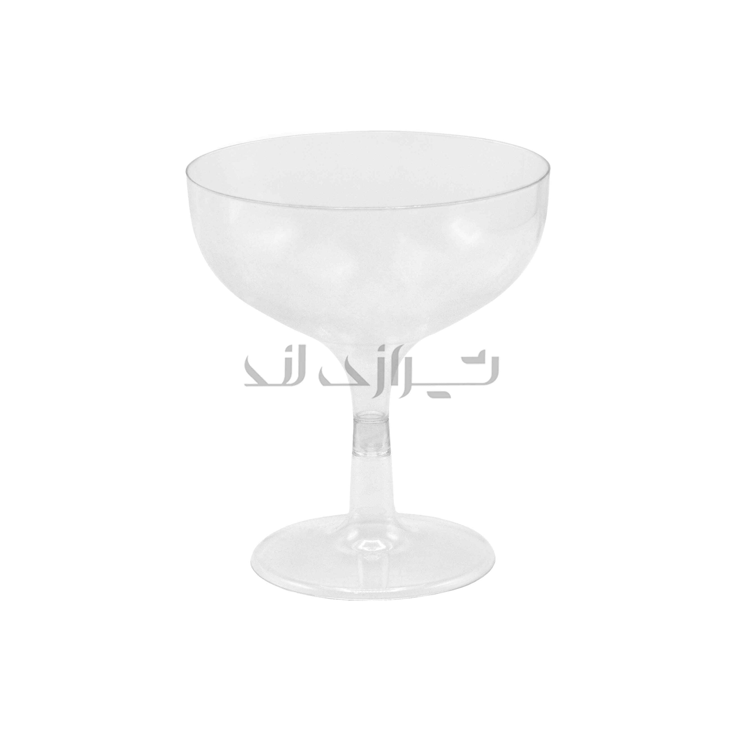 00002816 جام روژین 300