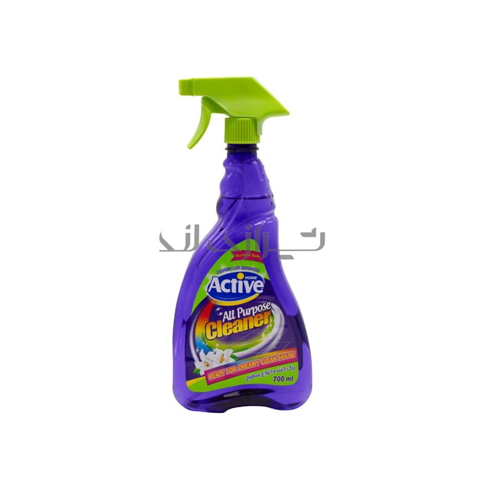 00003880 همه کاره و پاک کننده 700 گرمی اکتیو