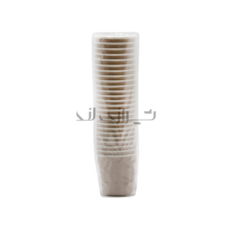 لیوان کرافت سه جداره 120