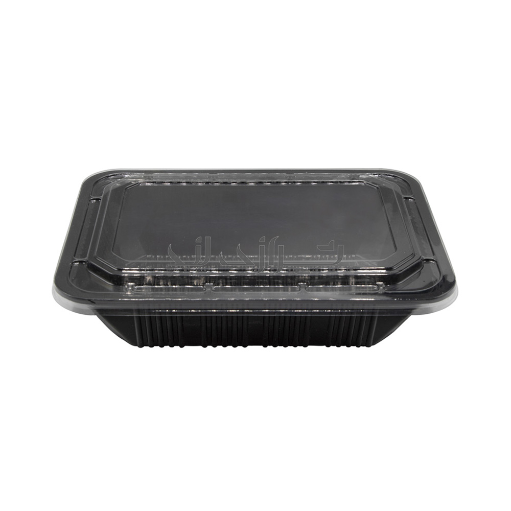 206-مهرپارسا-.jpg- 206-مهرپارسا-